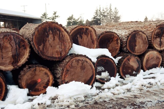 独自の基準のAUTHENTICITYグレード