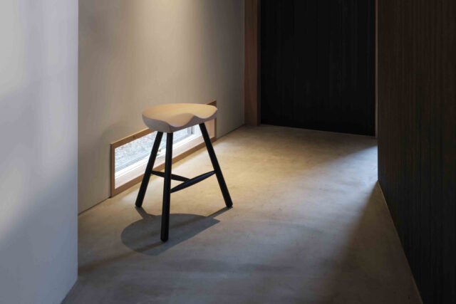 美しいコントラスト