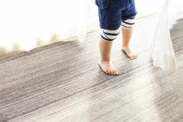 毛先が立った織り