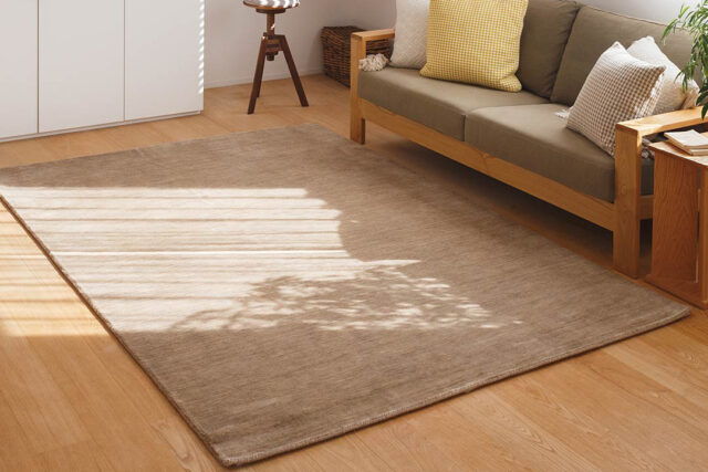 無地デザインのハグみじゅうたん